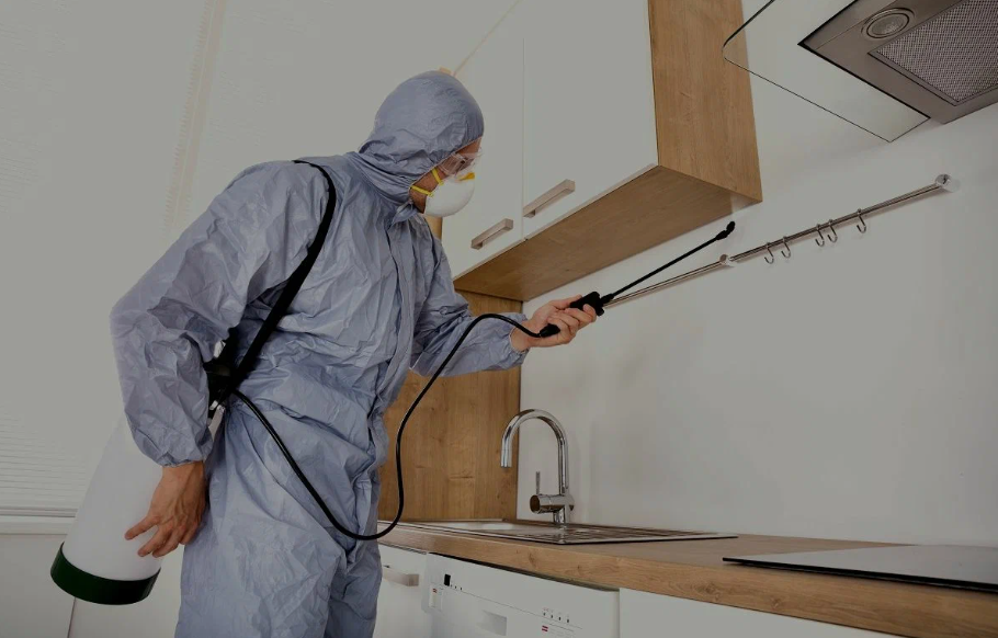 Palo Alto pest managment